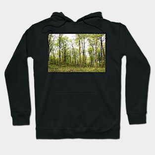 Green Leaved Trees in a Forest Hoodie